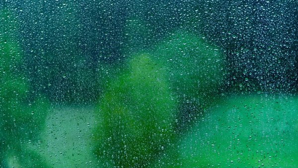 Зеленый дождь