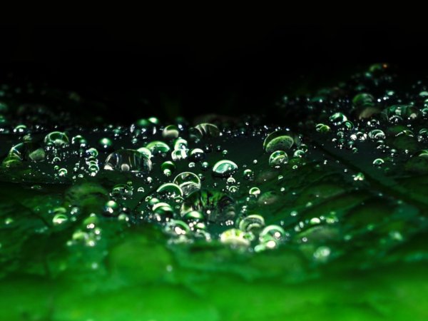 Зеленые капли на черном фоне