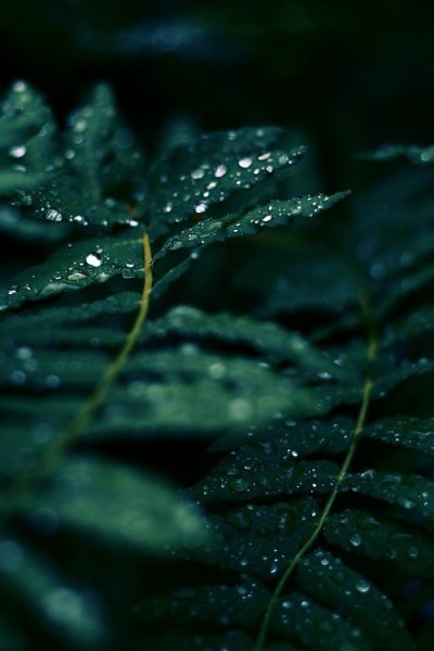 Эстетика изумрудного цвета