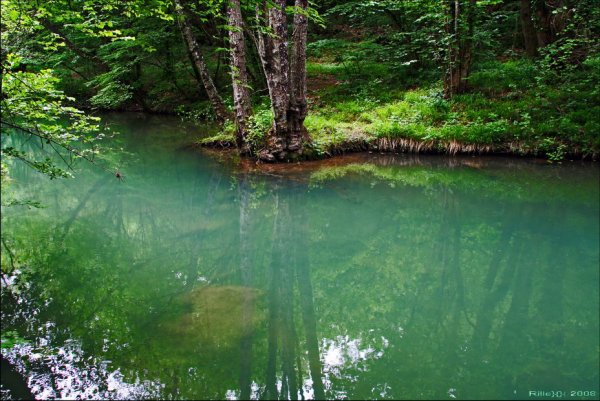 Казань зеленая речка Изумрудная