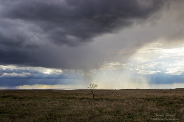 Гроза в степи