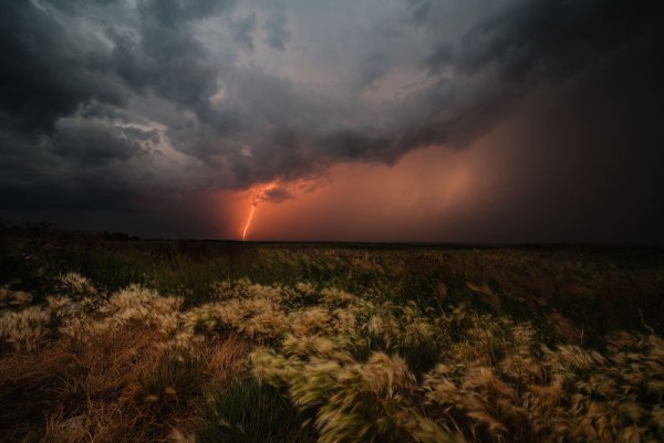 Дождь в степи