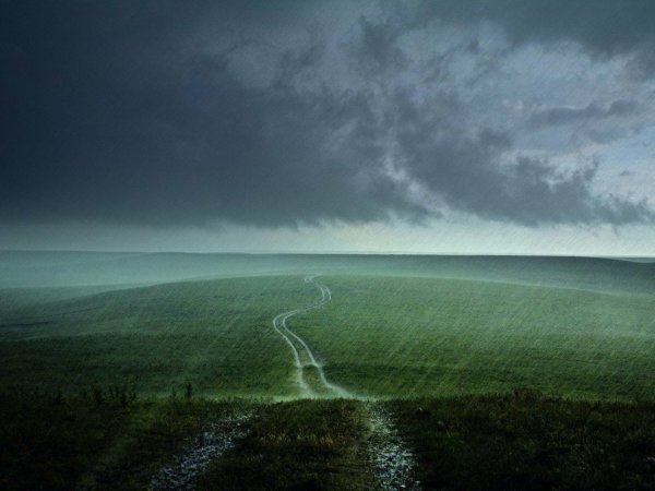 Гроза в степи