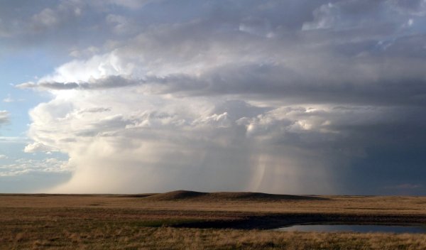 Ливень в степи