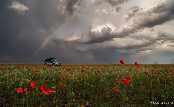 Дождь в Донской степи