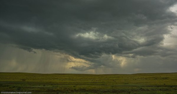 Климат степи в России