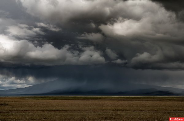 Грозовая степь