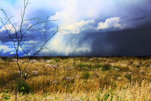 Гроза в степи