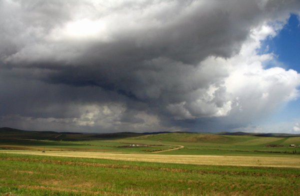 Степи Новочеркасска