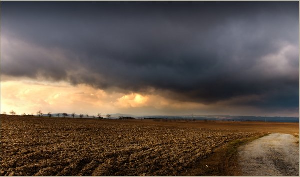Степь пасмурно осень