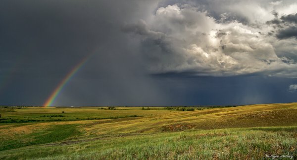 Радуга в степи