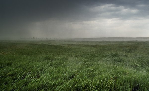 Дождь в степи