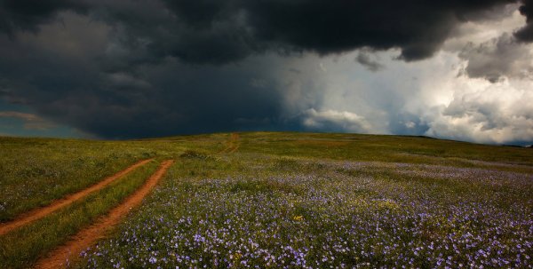 Луг перед грозой