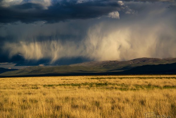Климат степи в России