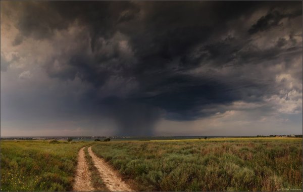 Дождь в степи