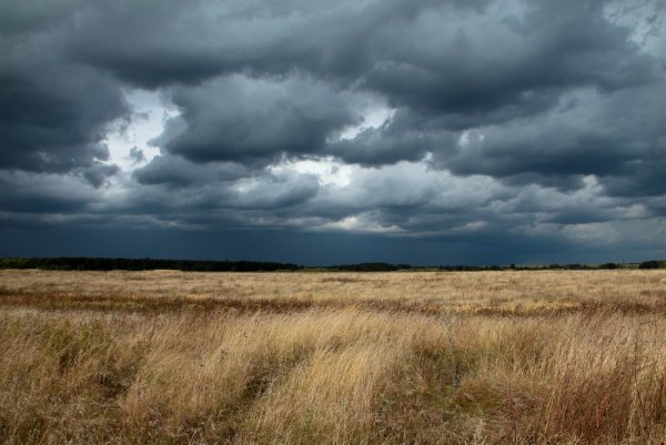 Осеннее небо