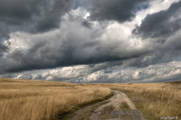 Степь пасмурно