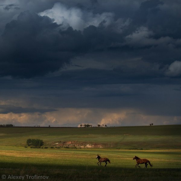 Степь пасмурно