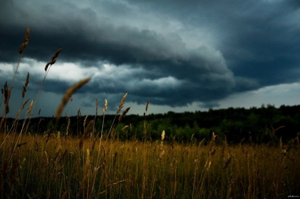 Поле перед дождем
