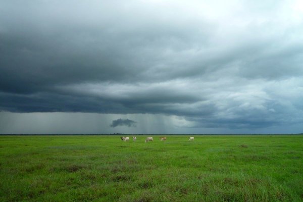 Пасмурное небо в поле