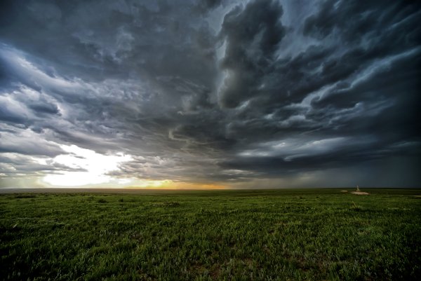 Зеленые поля пасмурно