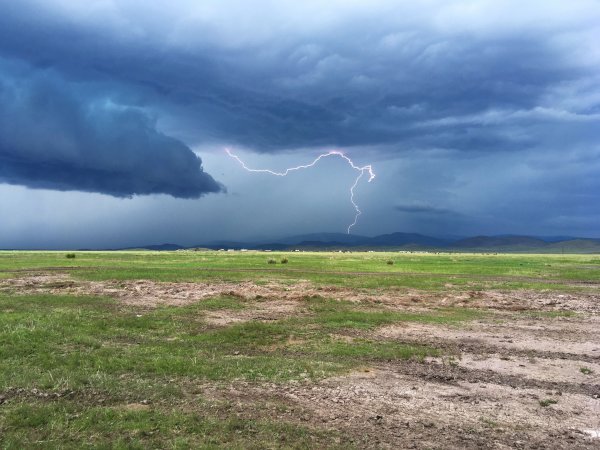 Молния в степи