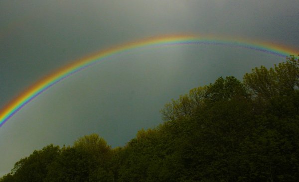 Пологая Радуга