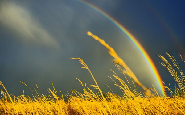 Гроза и солнце