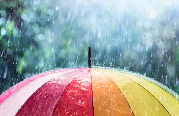 Ливень на фоне света ярко