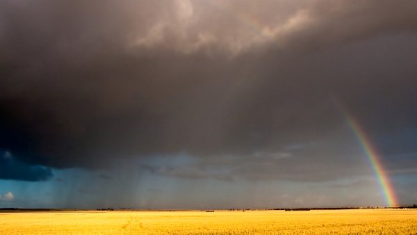 Небо после дождя