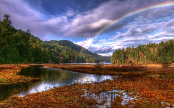 Фото природы