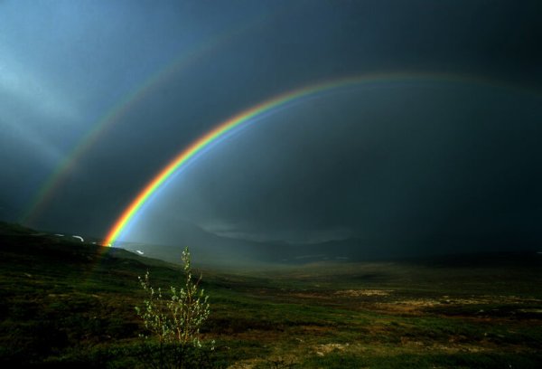 Радуга, тучи, дождь и солнце