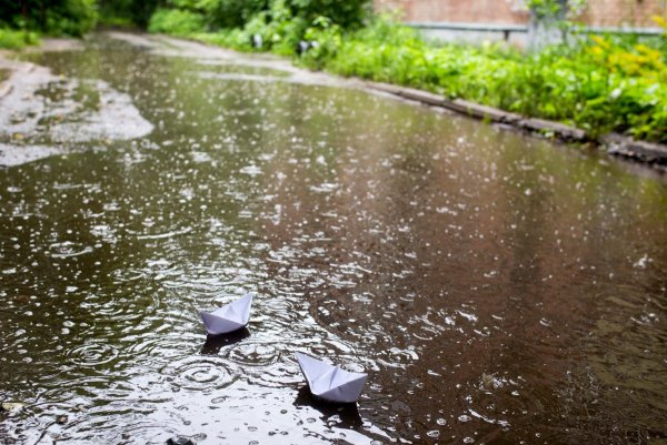 Дождь картинки