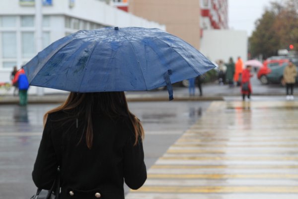 Небольшой дождь