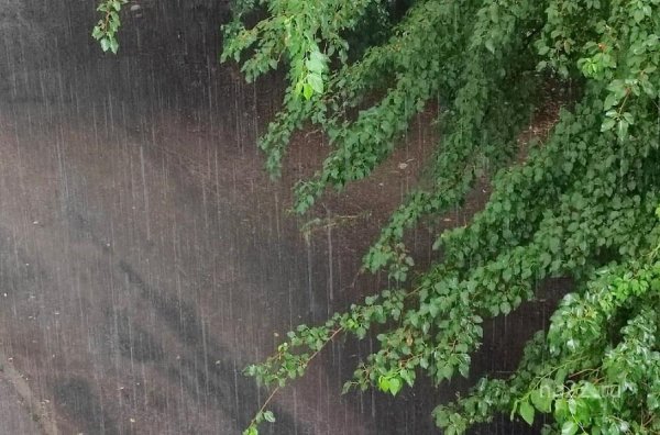 Сильный ливень