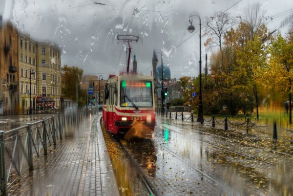 Эдуард Гордеев Петербург