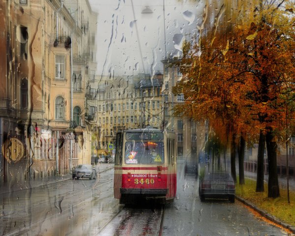 Осенний дождь в городе