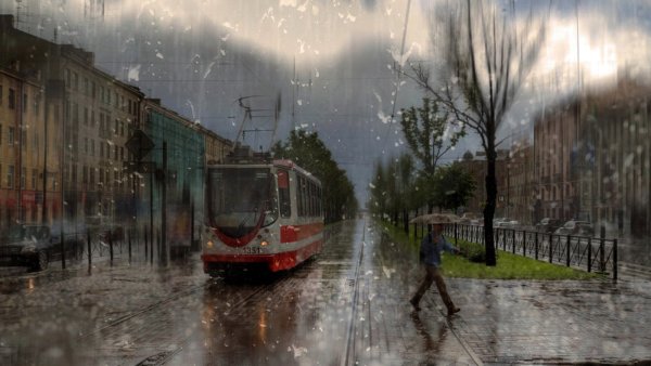 Летний дождь в городе