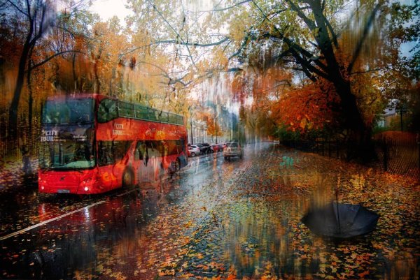 Эдуард Гордеев осенний Петербург