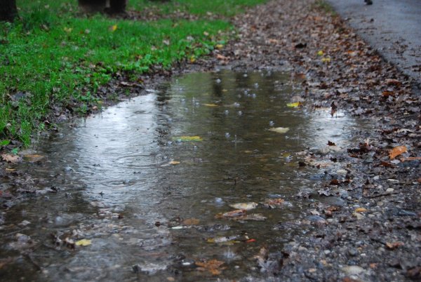 Вода на асфальте после дождя