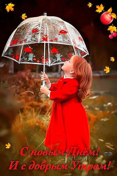 Дети под зонтом