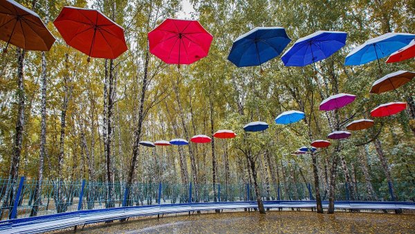 Осень дождь зонтик