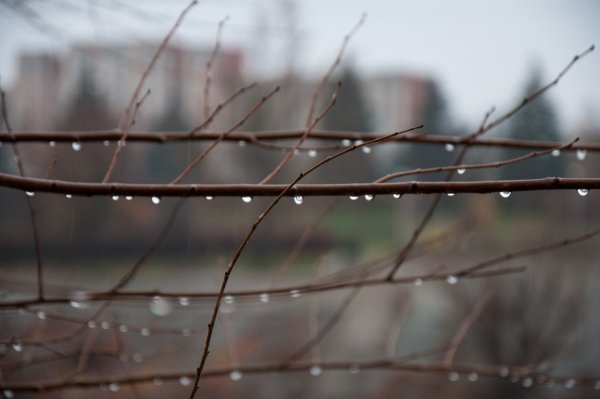 Апрельский дождь