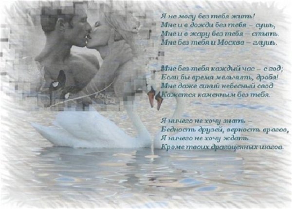 Я не могу без тебя стихи любимому