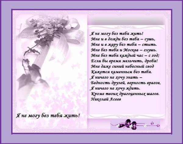 Стихи я не могу без тебя