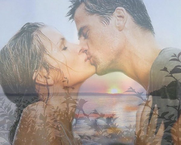 Раствориться в нежности