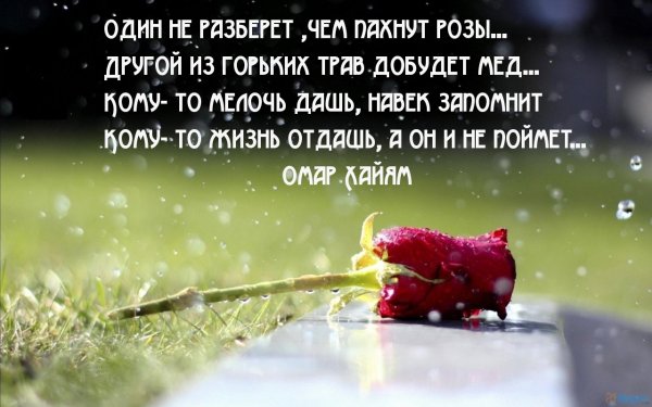 Красивые высказывания о жизни