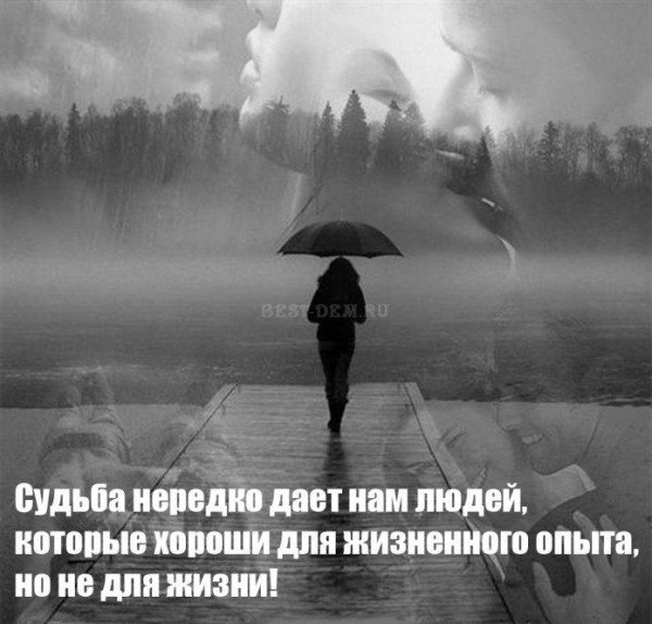 Короткие цитаты про судьбу