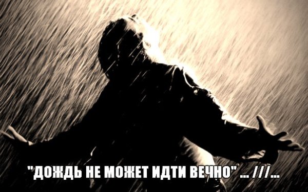 Дождь не может идти вечно ворон