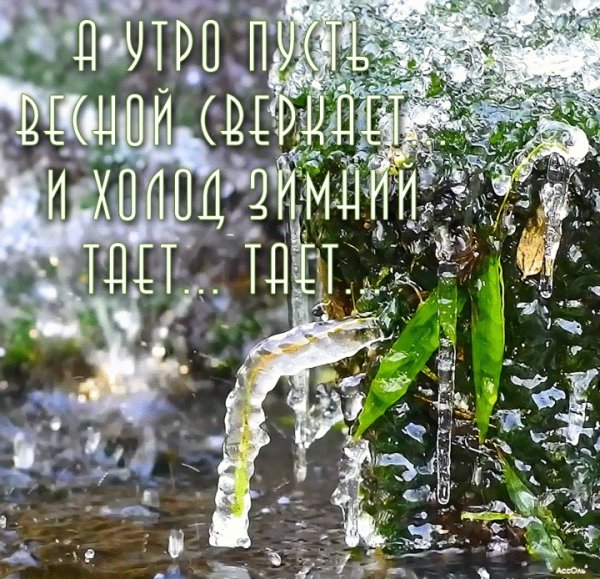 Дождливое Весеннее утро